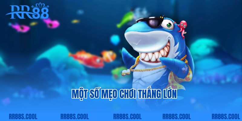 Một số mẹo chơi thắng lớn