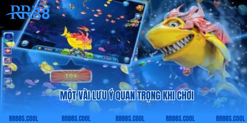 Một vài lưu ý quan trọng khi chơi