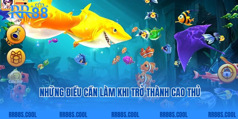 Những điều cần làm khi trở thành cao thủ  