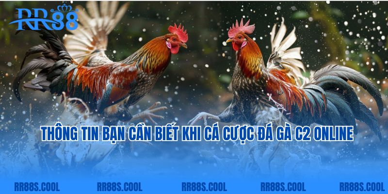 Thông tin bạn cần biết khi cá cược đá gà C2 online