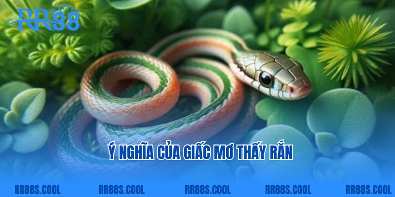 Ý nghĩa của giấc mơ thấy rắn