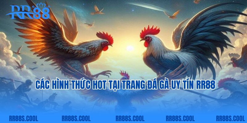 Các hình thức hot tại trang đá gà uy tín RR88