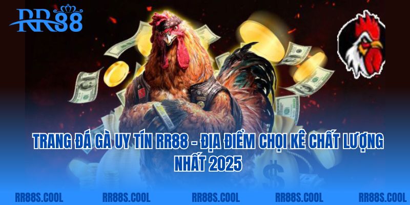 Trang Đá Gà Uy Tín RR88 - Địa Điểm Chọi Kê Chất Lượng Nhất 2025